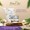 Organic Extra Virgin Coconut Oil-lifestyle-image-4