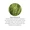 Organic Rosemary Oil-lifestyle-image-4