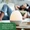 Organic Peppermint Oil-lifestyle-image-8