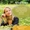 Chamomile Flower Liquid Extract-lifestyle-image-8