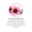 Echinacea Root & Plant-lifestyle-image-5