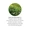 Green Tea Leaf Liquid Extract-lifestyle-image-5