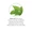 Nettle Leaf Liquid Extract-lifestyle-image-5