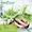 Sage Liquid Extract-lifestyle-image-9