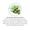 Saw Palmetto Berry Liquid Extract-lifestyle-image-5