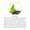 Green Tea - Tea Bags-lifestyle-image-4