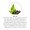 Green Tea - Tea Bags-lifestyle-image-4