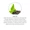 Loose Cut Green Tea-lifestyle-image-4