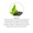 Loose Cut Green Tea-lifestyle-image-4