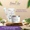 MSM Plus Cream-lifestyle-image-4