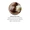 Shea Butter-lifestyle-image-4
