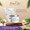New & Improved Callus Softening Cream with Pumice-lifestyle-image-4