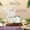 New & Improved Aloe Vera Gel-lifestyle-image-5