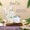 New & Improved Aloe Vera Gel-lifestyle-image-5