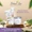 WrinkleRacer®-lifestyle-image-4
