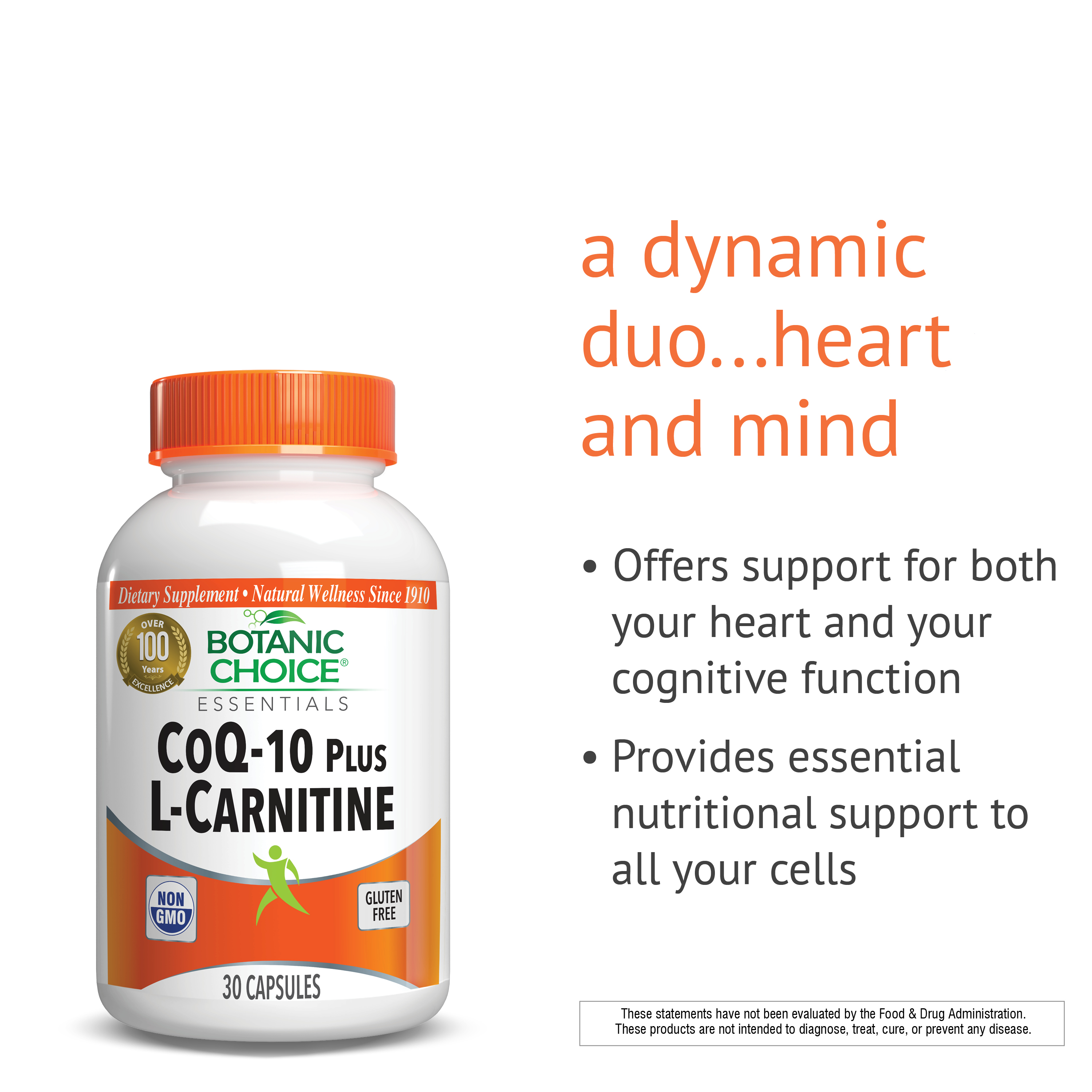 efectos secundarios l'carnitina L Carnitina - Para Qu Sirve? Beneficios Y Usos