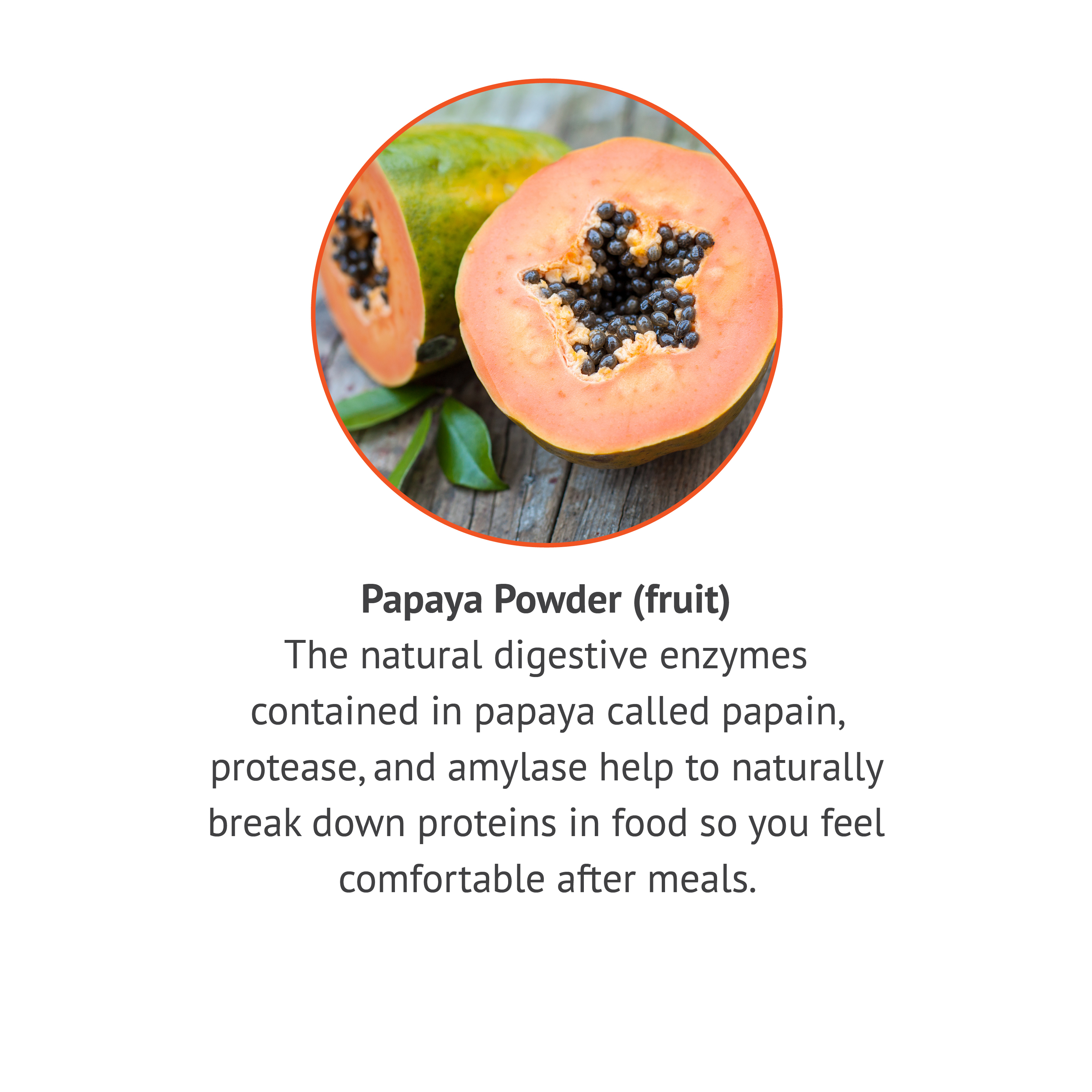 Buy Chewable Papaya Enzyme Tablets 49 mg. 180 tablets Botanic Choice