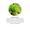 Bilberry Extract Standardized for 36% Anthocyanosides-lifestyle-image-4