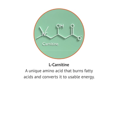 nih l-carnitine Amazon.com: NOW Foods Supplements, L-Carnitine (L-Carnitine Tartrate) Pure  Powder, Boosts Cellular Energy, Amino Acid, 3-Ounce : Health & Household