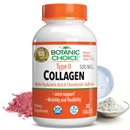 Botanic Choice - Type II Collagen Tablets 500 mg. - 30 tablets