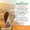 Vitamin D3 with CoQ-10-lifestyle-image-6