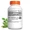 Moringa Extract-lifestyle-image-2
