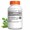 Moringa Extract-lifestyle-image-2