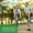 Curcumin C3 Complex® with Bioperine®-lifestyle-image-7