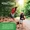 Herbal Total Wellness&trade;-lifestyle-image-7