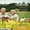Respi-Complete&trade;-lifestyle-image-6
