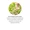 Oil of Oregano Extract 1500 mg.-lifestyle-image-4