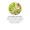 Oil of Oregano Extract 1500 mg.-lifestyle-image-4