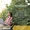 Memory Max™-lifestyle-image-6