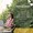 Memory Max™-lifestyle-image-6